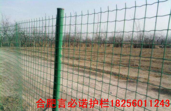 铁丝网护栏网厂家，品质保障，安全首选