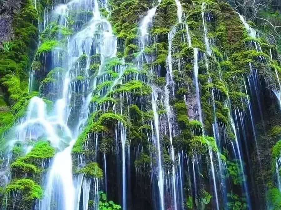 铁算盘一句解特，4872的数字奥秘与智慧启示铁算算盘4887 论坛