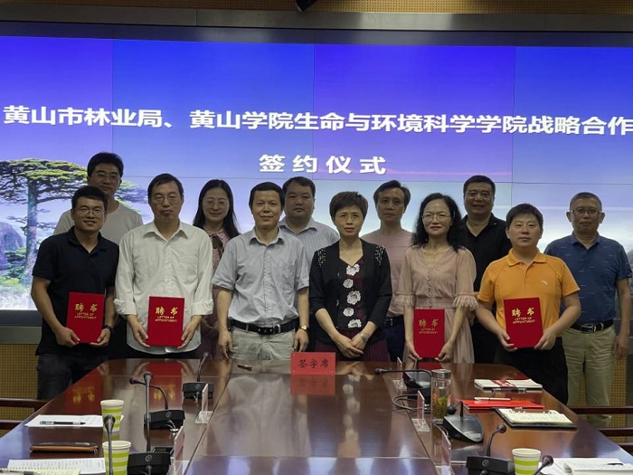 声屏障方案，打造宁静环境的创新策略