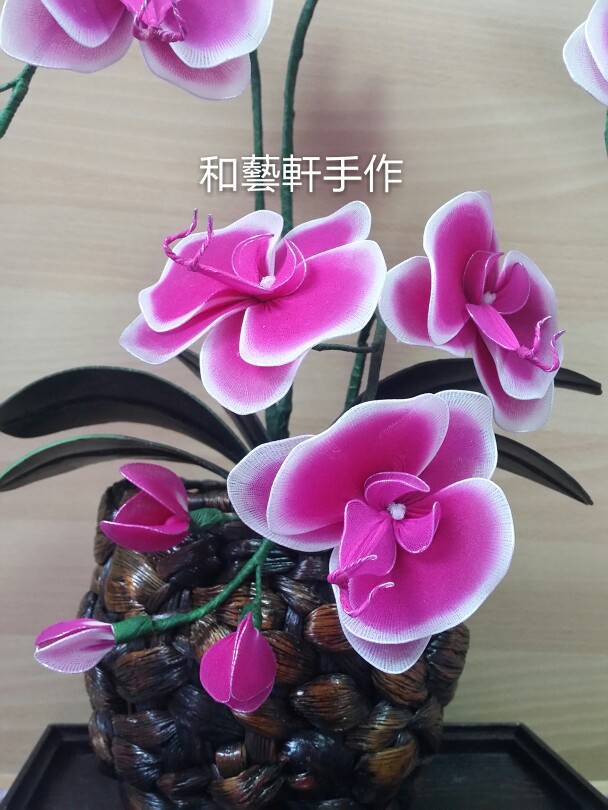 丝网花蝴蝶兰的制作艺术
