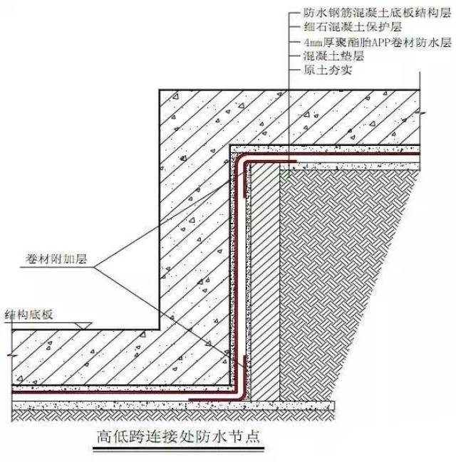 2024年12月 第57页