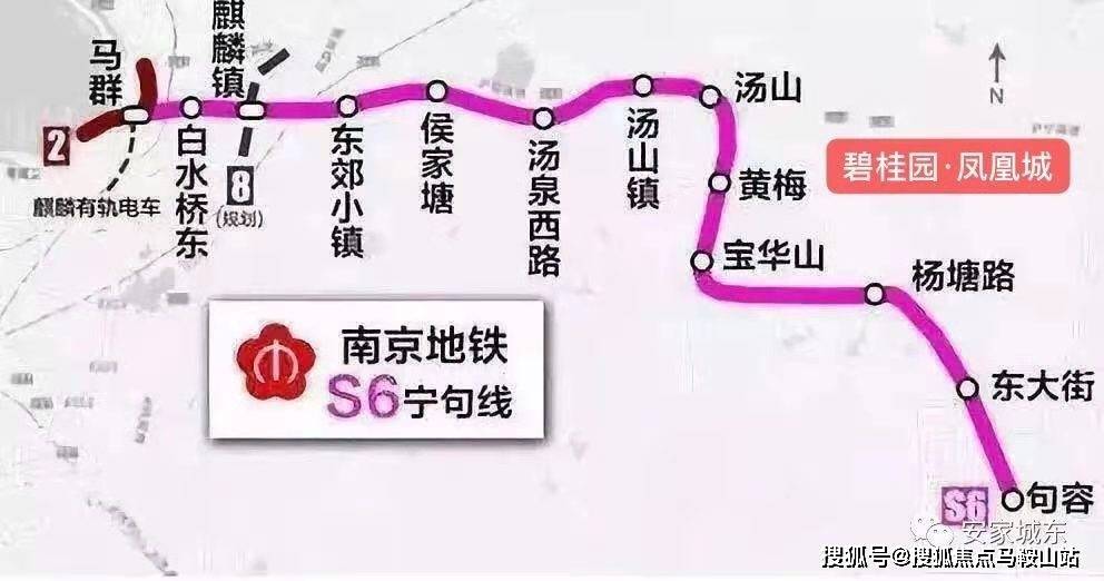 不锈钢网板，应用、优势与未来发展