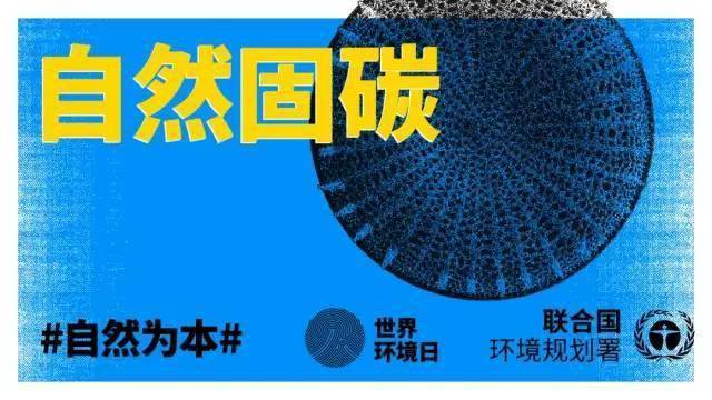 探索塑料制品的世界，从图片解读多样性