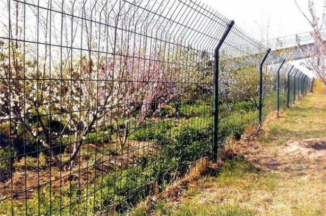 围栏网与护栏网，价格、选择与应用的深度解析
