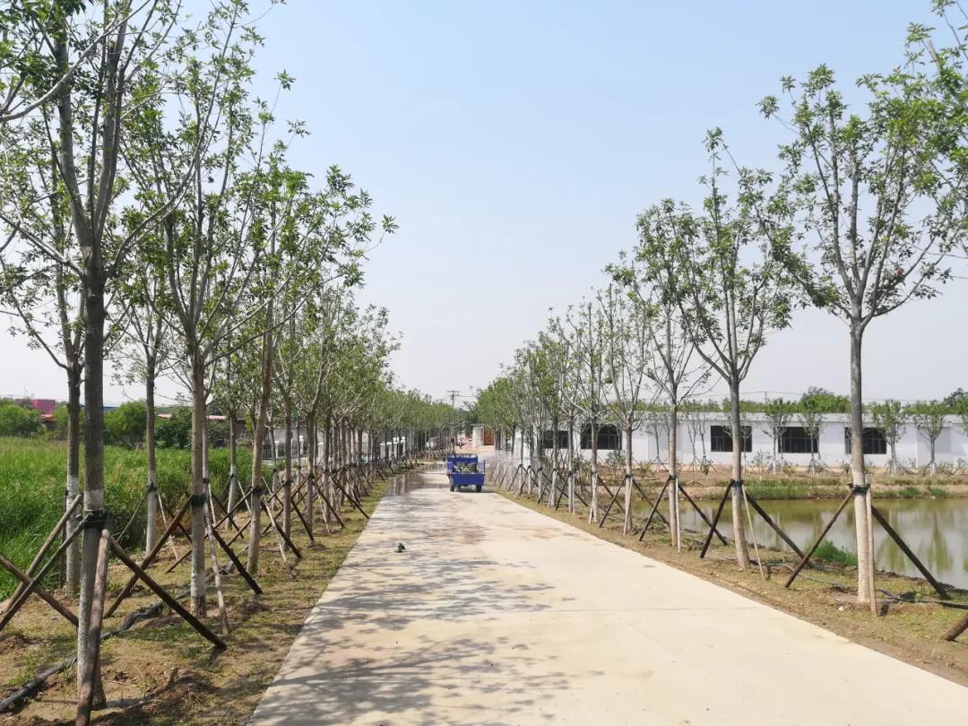 隔离栅护栏网厂家，守护安全，构建和谐环境的坚实屏障