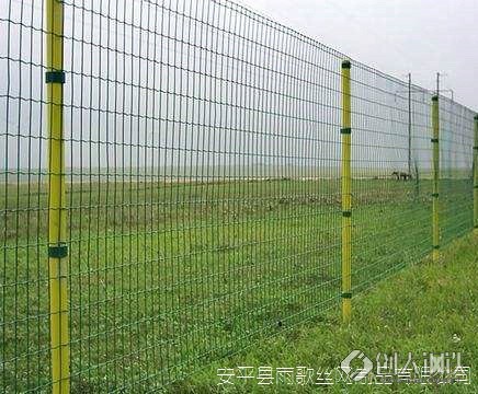 海南护栏网厂家，守护海岛安全的绿色屏障