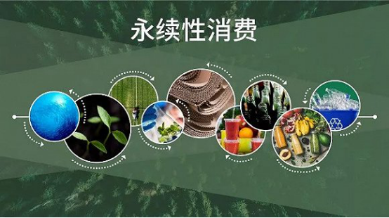 塑料制品，双刃剑的利与弊