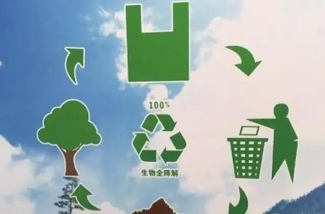 塑料制品的替代品，迈向可持续生活的绿色选择