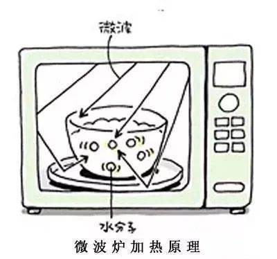 塑料制品在微波炉中的安全使用，你需要知道的真相