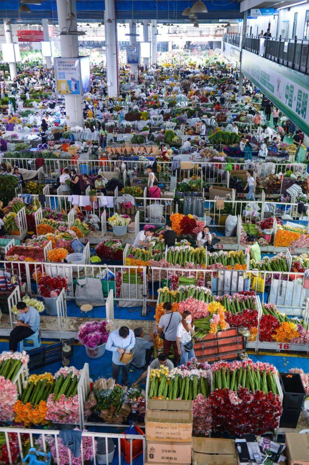 昆明塑料制品批发市场的繁荣与活力