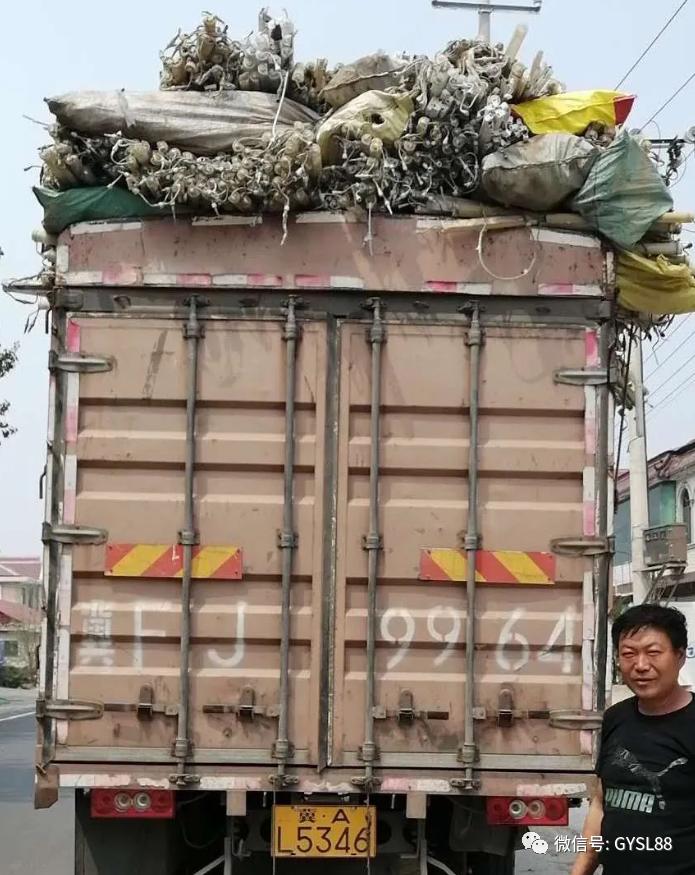 塑料制品对人体的危害，隐形威胁与应对策略
