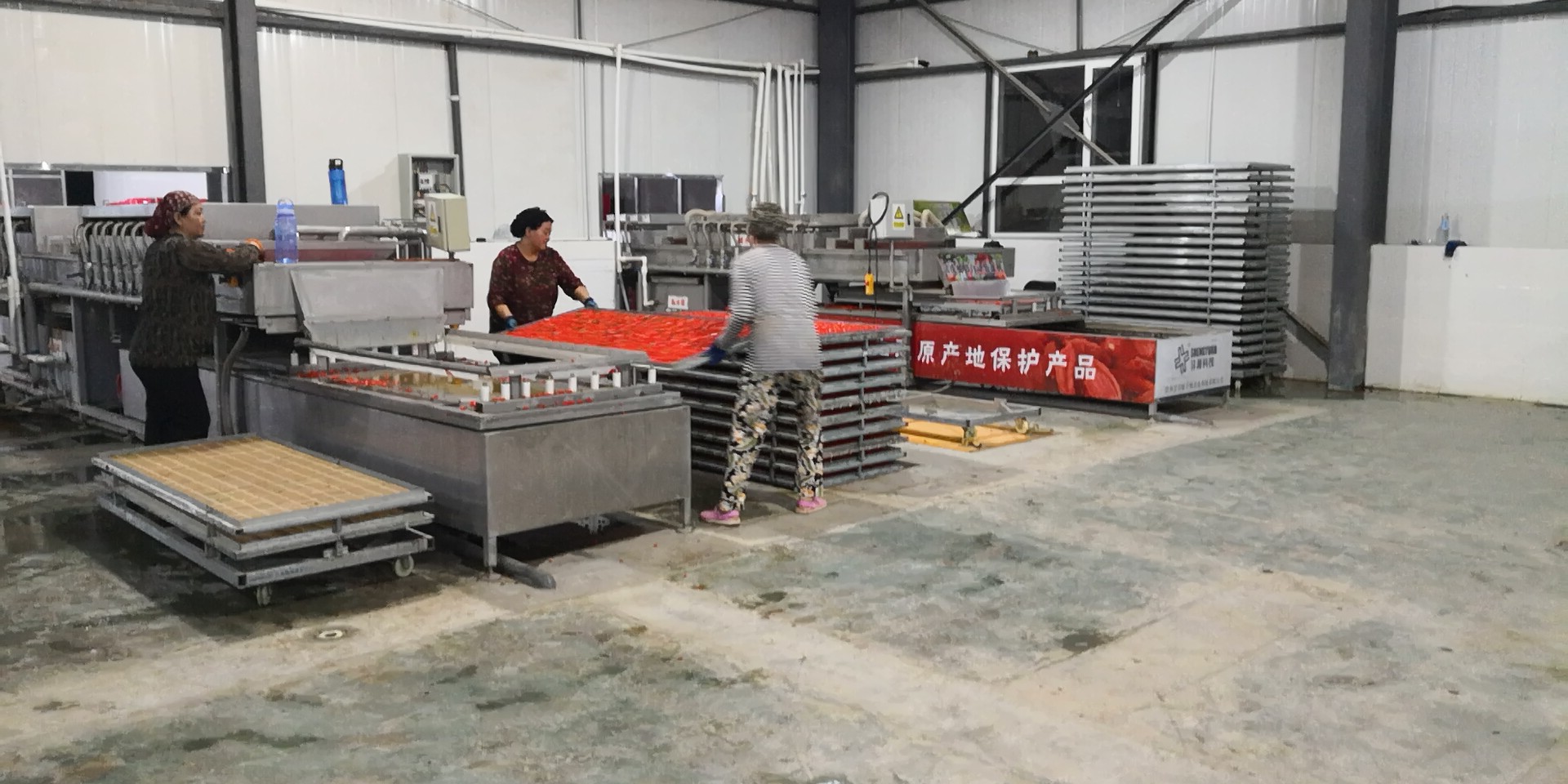 塑料制品与植物样品，烘干过程中的温度控制艺术