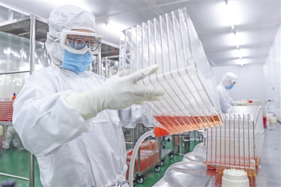 东莞，塑料制品生产的隐形冠军