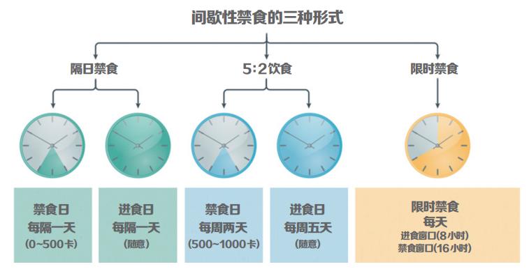 塑料制品对人体危害的深度剖析