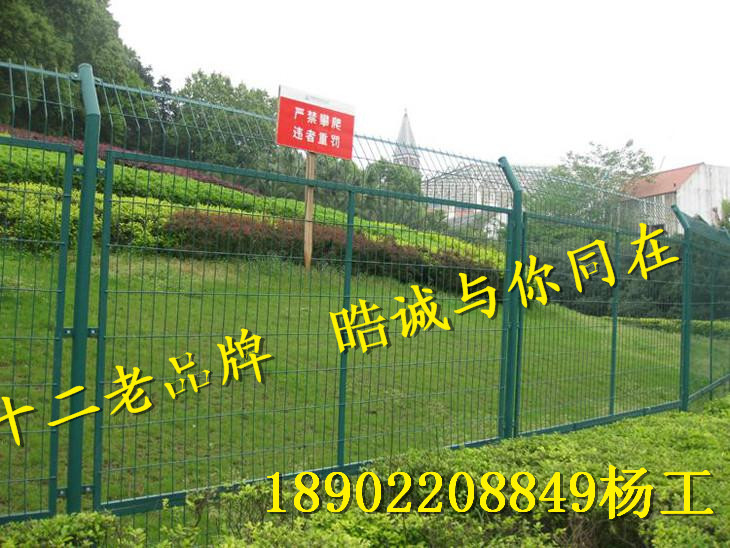 绿色护栏网，守护安全，美化环境的绿色屏障