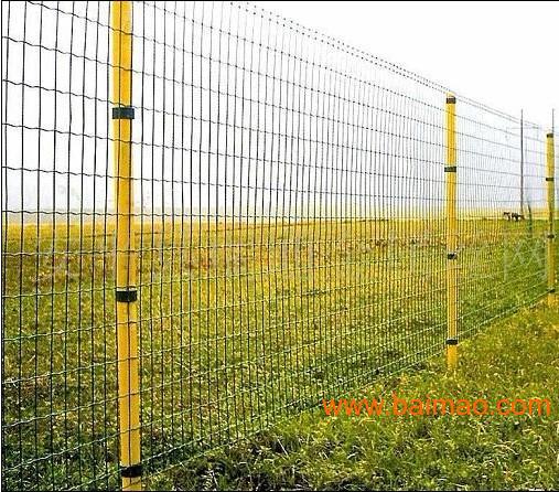 圈地护栏网，价格、选择与价值考量