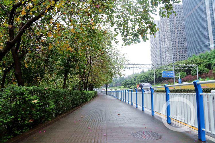 重庆优质可靠的公路护栏网，守护安全，铸就品质