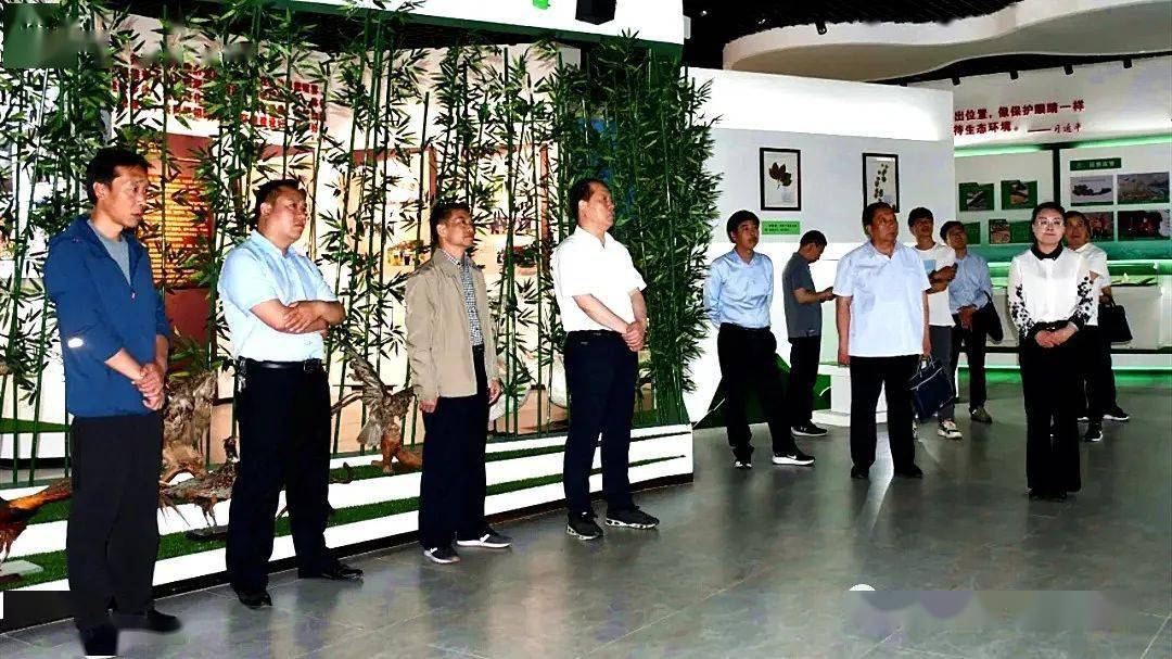 齐齐哈尔护栏网厂家的探寻之旅，从城市脉动到安全守护
