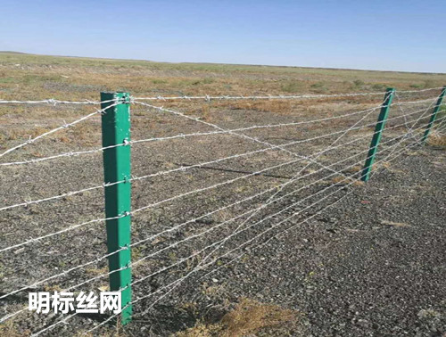 草原的守护者，墨玉草原护栏网的生产与重要性