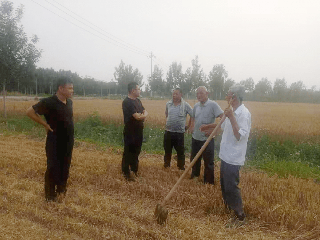 护栏网，建筑与安全领域的守护者——入什么科目最合适？