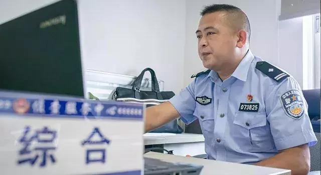道路护栏网，守护安全，美化环境的双重守护者