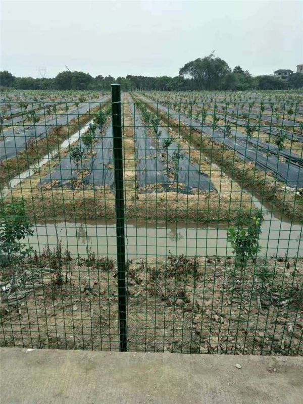 养殖用的护栏网，构建安全、高效与可持续发展的养殖环境