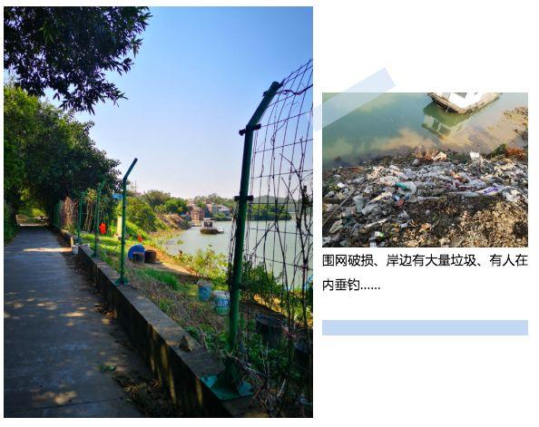 水利与围网护栏网，守护水资源安全的双重防线