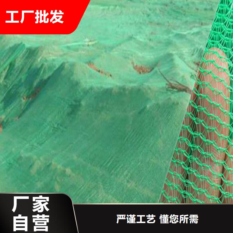 防风抑尘网国家标准，构建绿色生态的坚实防线