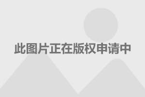 塑料制品能放在微波炉里加热吗？——安全与健康的考量