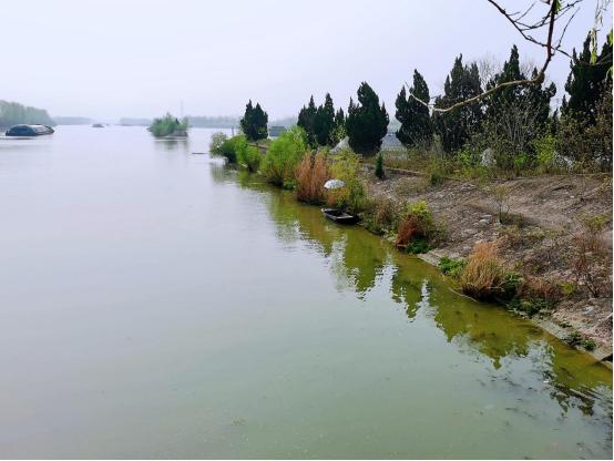 河道护栏网厂家，守护水域安全的坚实防线