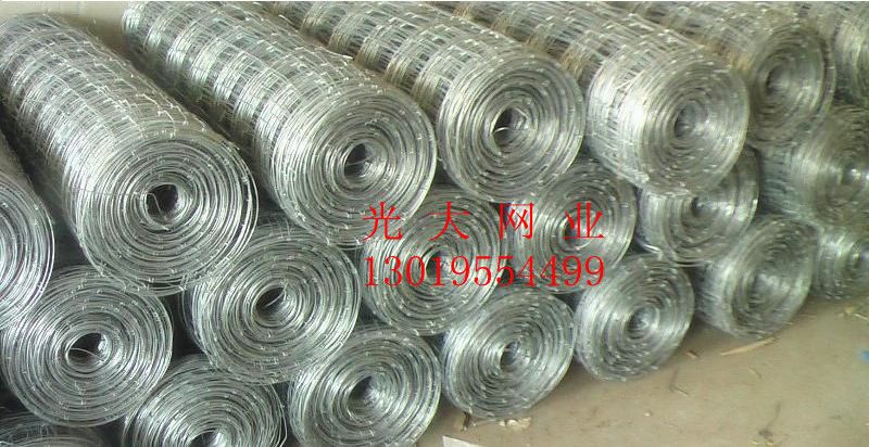 墨玉草原护栏网，守护绿色家园的坚实防线