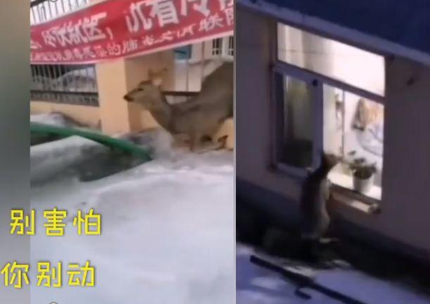 不锈钢网格栅栏的施工全攻略，从设计到安装的详细视频指南