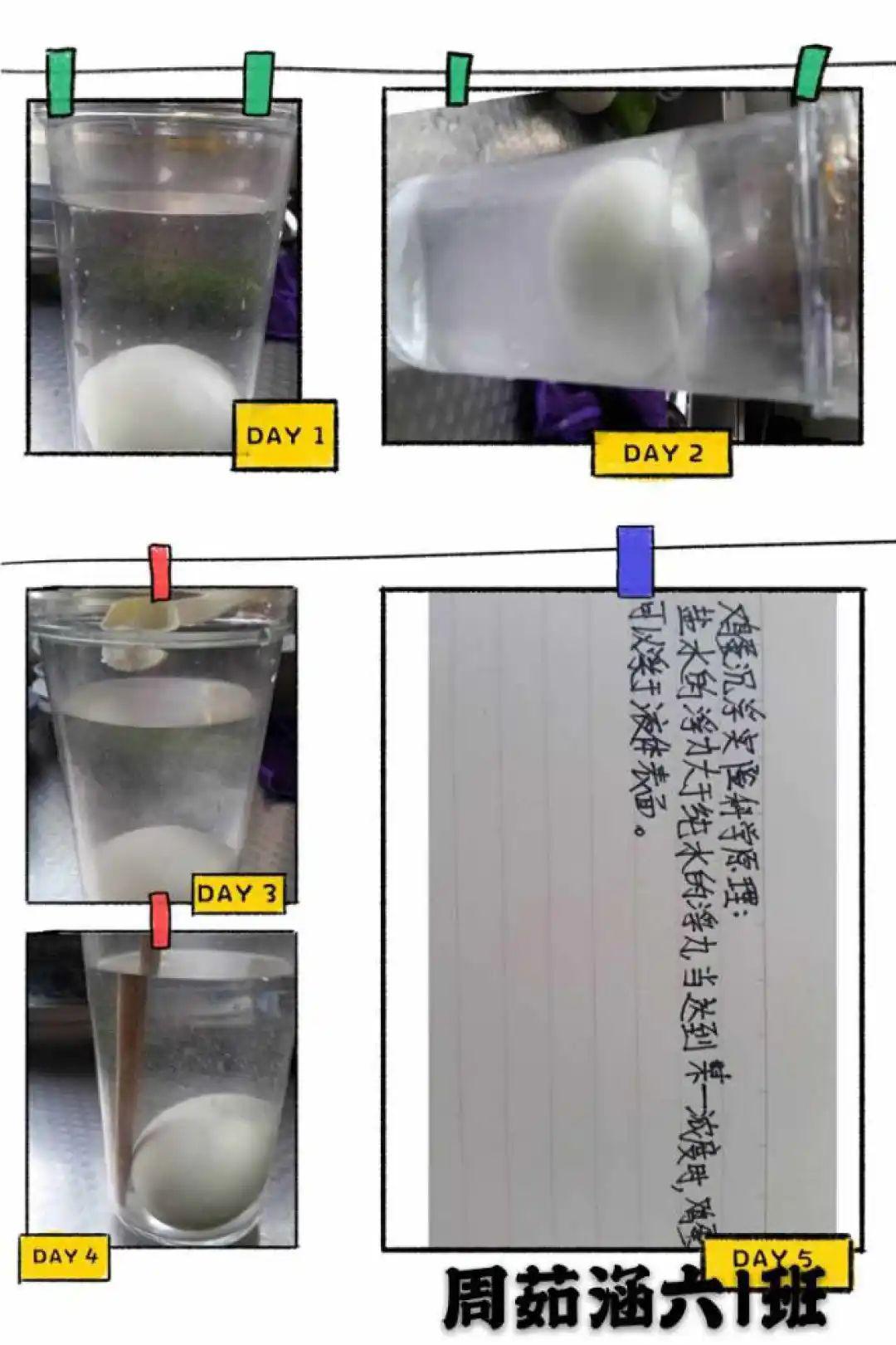 探索不锈钢网1目孔径的奥秘