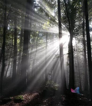 探索不锈钢网链的奥秘，从图片中领略其独特魅力
