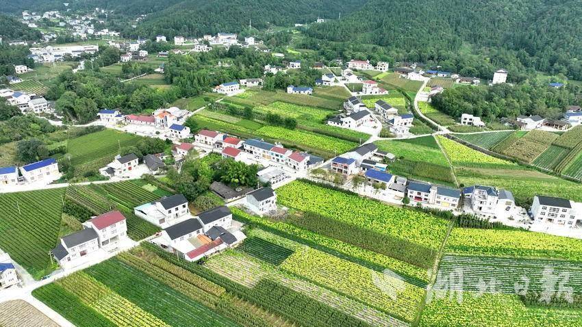 丽江钢性防风抑尘网厂家，守护蓝天，助力绿色发展