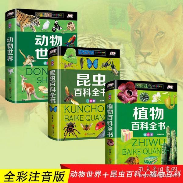 塑料制品的奇妙世界，四年级科学探索之旅
