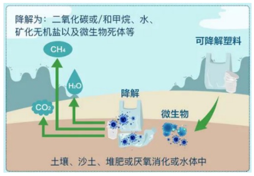 一次性塑料制品的泛滥与影响，从日常便利到环境挑战