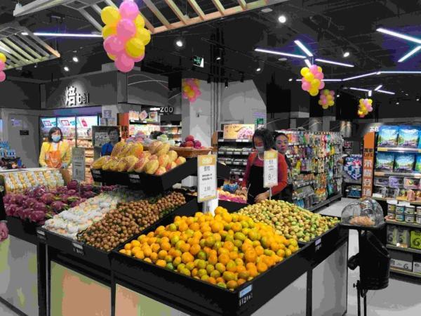 塑料制品的替代品，迈向可持续未来的绿色选择