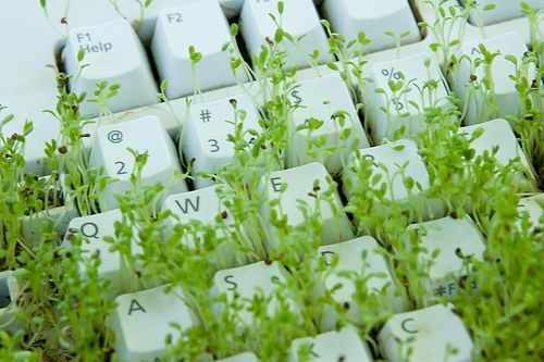 生活中的绿色革命，塑料制品的环保替代方案