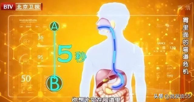 塑料制品的危害性，隐形的环境与健康威胁