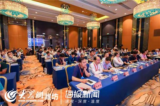 塑料制品的全球影响与未来展望，从英文单词看其重要性