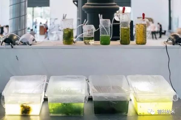 探索塑料世界的多彩画卷，各种塑料制品的图片解析