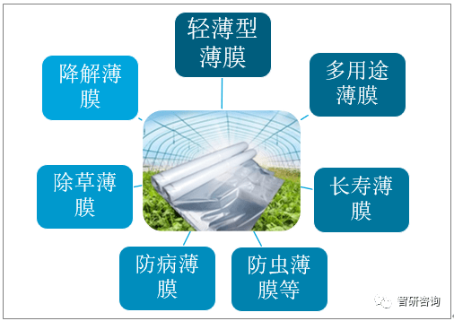 塑料制品中光引发剂分析，从原理到应用