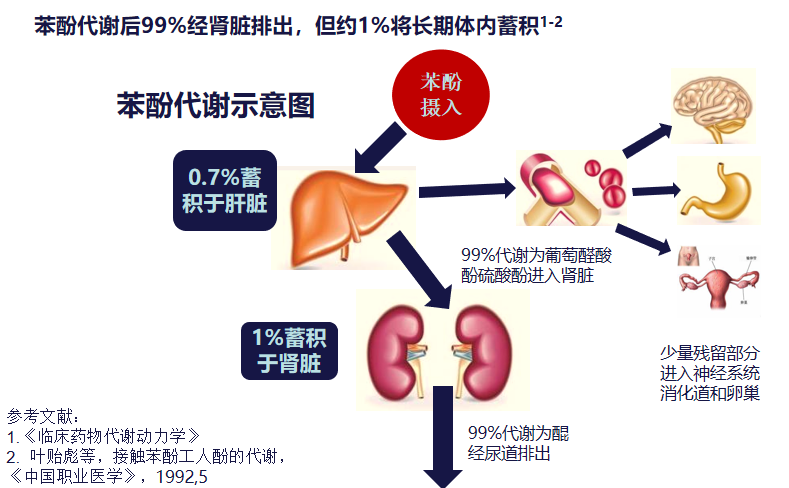塑料制品对身体的危害，不可忽视的隐形威胁
