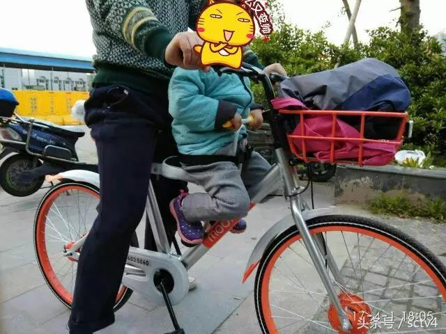 护栏网质量认证，合格证与报告的重要性与解读