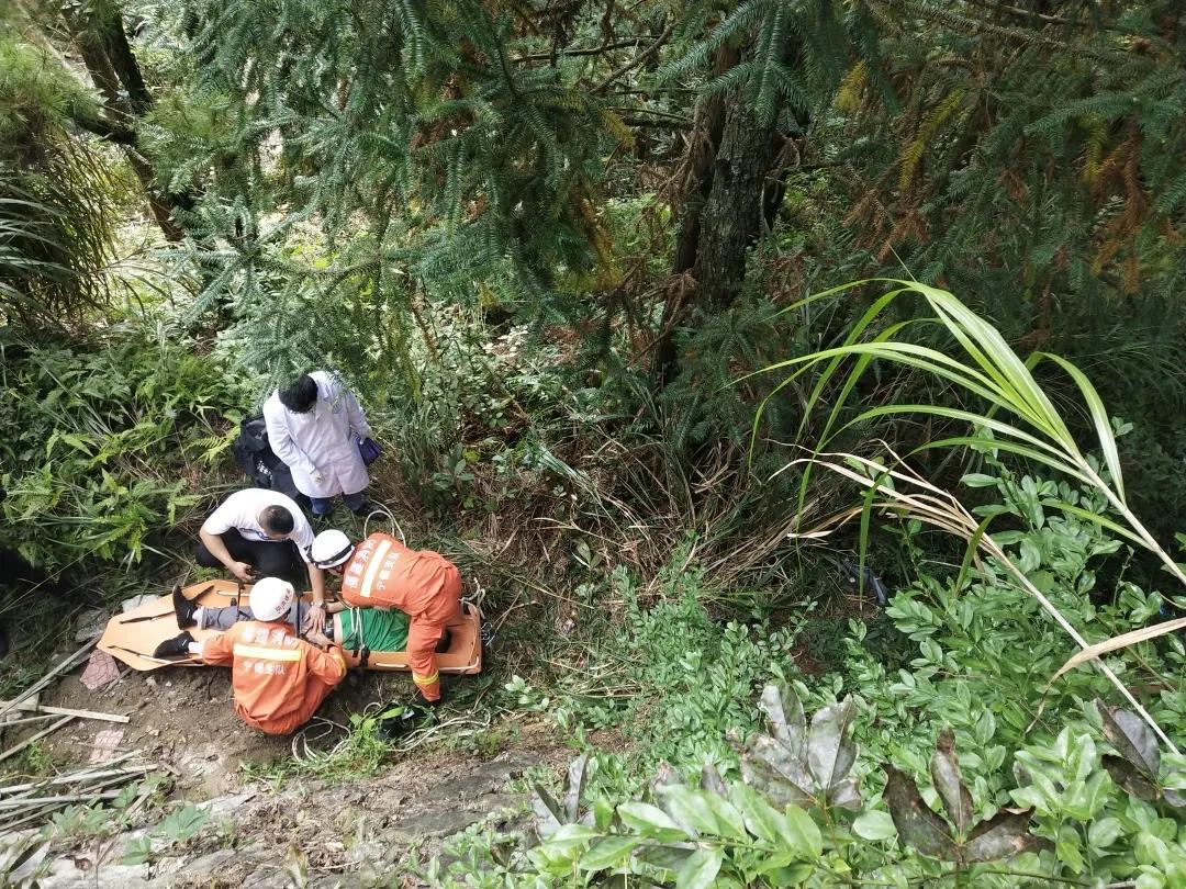 福建护栏网，守护安全，美化环境的坚固防线