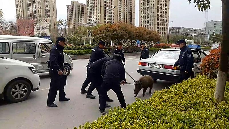 护栏网安装视频教程图解，简单易懂，一步一图