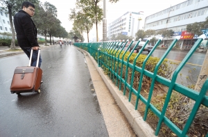 绿化带护栏网购买指南，打造安全与美观并存的绿色空间