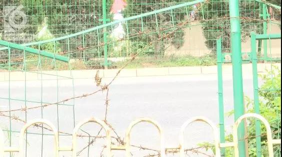 昆明护栏网生产厂家的崛起与市场影响力