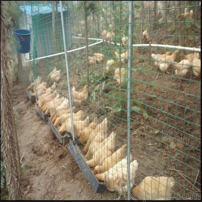 1米高养鸡护栏网，性价比之选，守护您的养殖安全